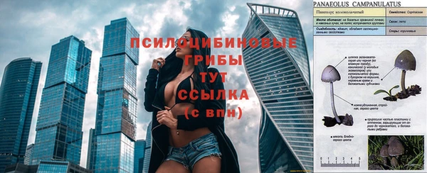 дурь Арсеньев